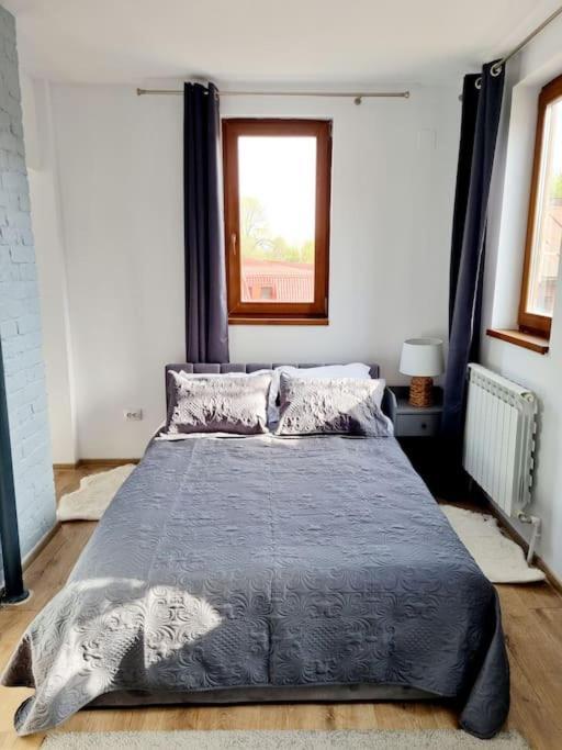 Cozy Near Center * Bucharest