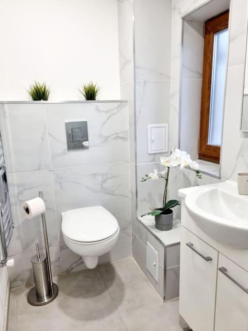 Apartment Cozy Near Center Bucharest