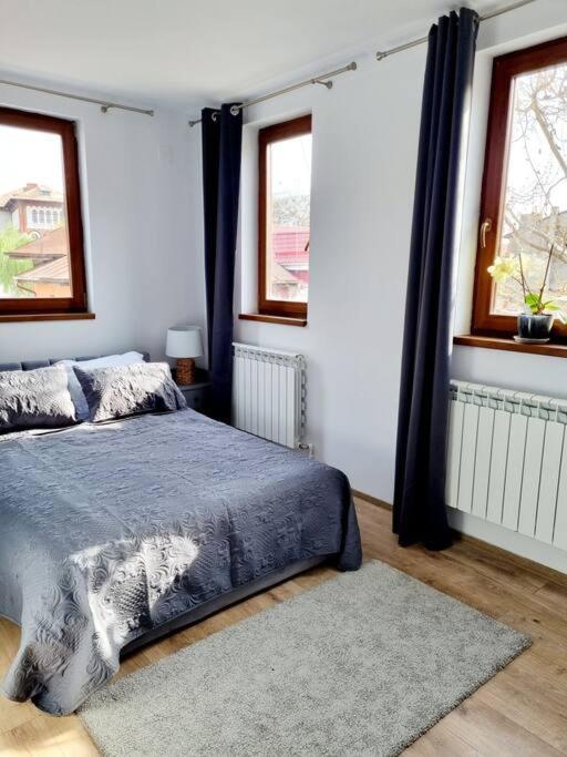 Cozy Near Center Bucharest