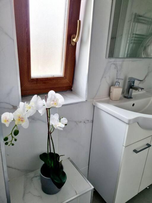 Cozy Near Center * Bucharest