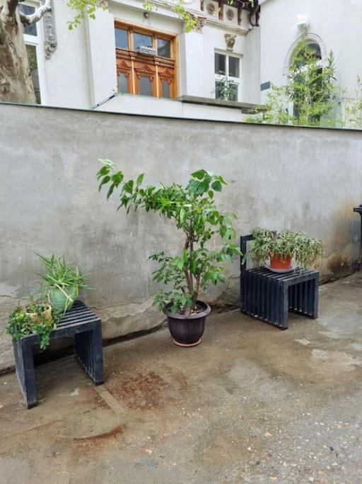 Cozy Near Center Apartment
